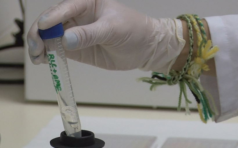 Koronavirüs aşı müjdesi Ankara'dan geldi! İnsanlar ve maymunlarda denenecek - Resim: 1