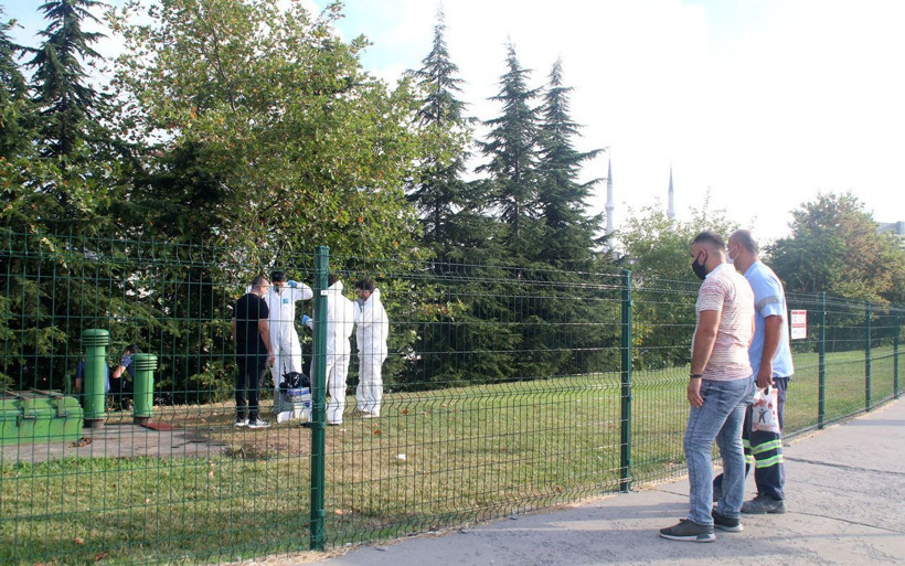 Kağıthane'de korkunç olay! Ağaca asılı erkek cesedi bulundu - Resim: 1
