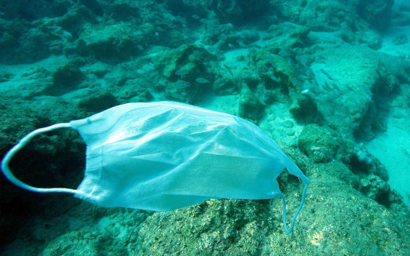 Antalya sahilinde utandıran fotoğraflar! Ne ararsan var - Resim: 1