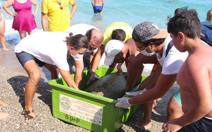 Antalya Konyaaltı sahilinde kıyıya vurdu bez örtülüp götürüldü - Resim: 3