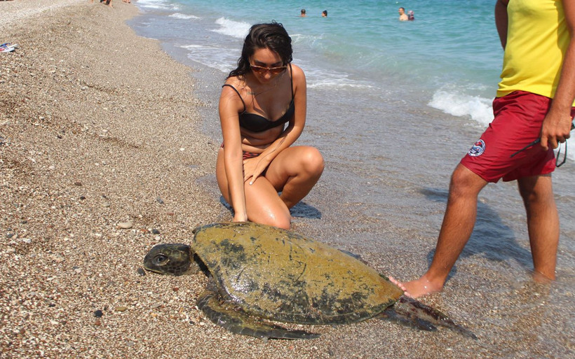 Antalya Konyaaltı sahilinde kıyıya vurdu bez örtülüp götürüldü - Resim: 1