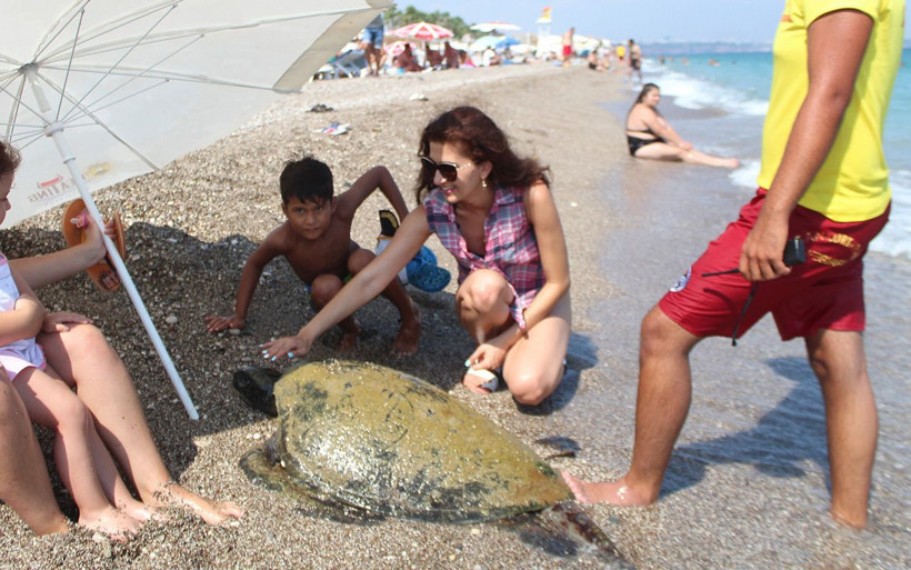 Antalya Konyaaltı sahilinde kıyıya vurdu bez örtülüp götürüldü - Resim: 2