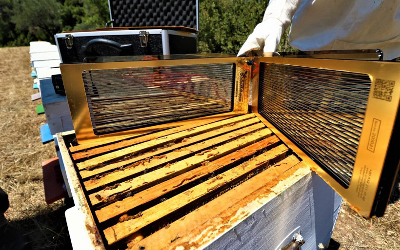 Manisa'da elektrik ustası arı zehiri sayesinde paraya para demiyor - Resim: 4