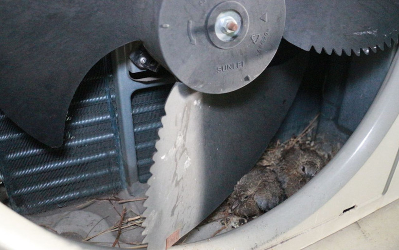 Kocaeli'de tamirci klimadan çıkanları görünce şoke oldu - Resim: 4