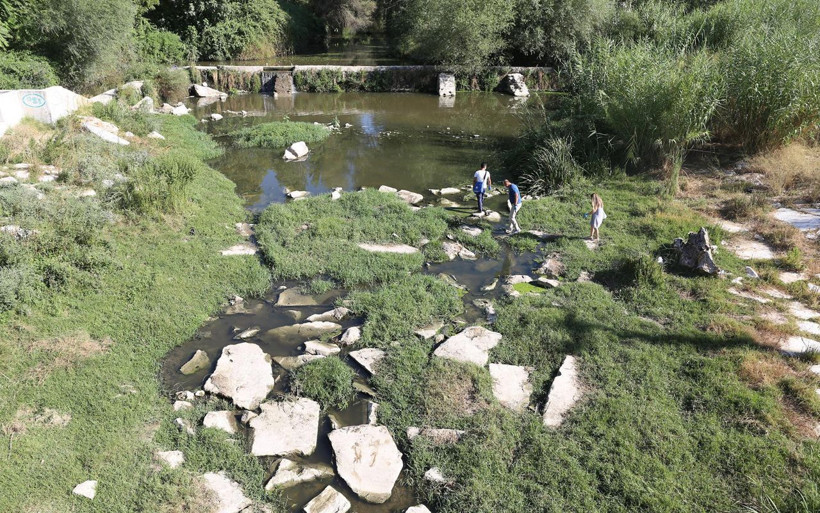 Muğla'da ürküten görüntüler! Yüzlerce balık toplu şekilde öldü - Resim: 1