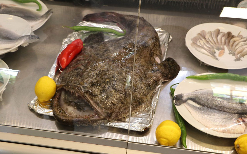 Rize'de balıkçılar şaşkına döndü olması gereken yerde değildi - Resim: 3