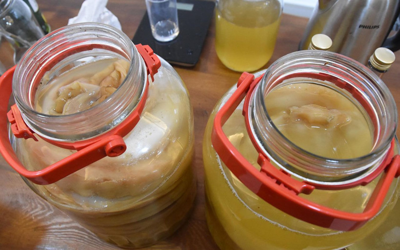 İzmir'de kombucha çayına yoğun ilgi Doğu Asya'da ölümsüzlük iksiri deniyor - Resim: 3