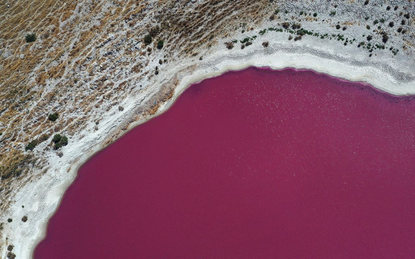 Konya'da pembe renkli göl şaşırttı! Rengi değişen obruğa 2 neden var - Resim: 4