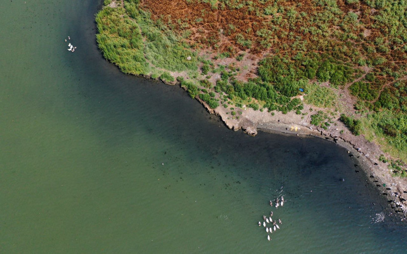İstanbul Haliç kara bir hal aldı! İBB 'masmavi' deyip bir de fotoğraf paylaştı - Resim: 2