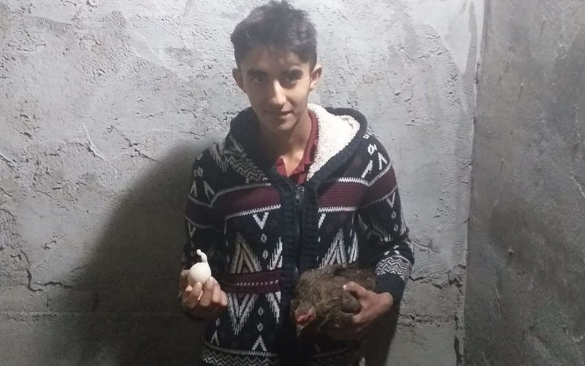 Tokat kuyruklu yumurta köylüler gördüklerine inanamadı - Resim: 3