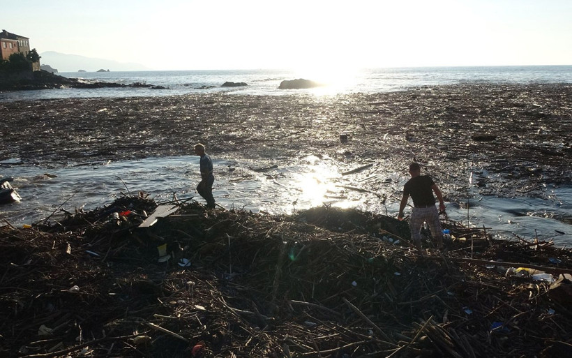 Giresun'da Karadeniz sahili ağaçlarla kaplandı sel suları böyle iz bıraktı - Resim: 4