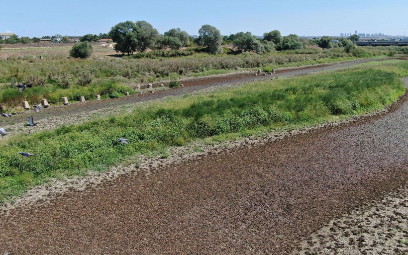 Büyükçekmece Gölü'nde sular çekildi baraj suyu görüntüsüyle korkuttu - Resim: 2
