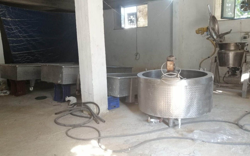 Denizli'de insan insana bunu yapmaz! 5 yıllık peynirleri piyasaya sürerken yakalandı - Resim: 3