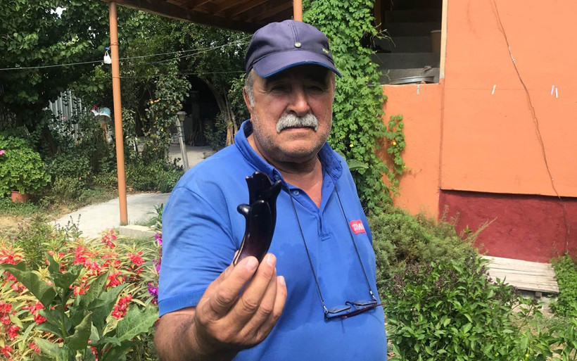 Çanakkale'de 5 parmaklı patlıcan göreni şaşkına çeviriyor çocuk eli kadar - Resim: 1