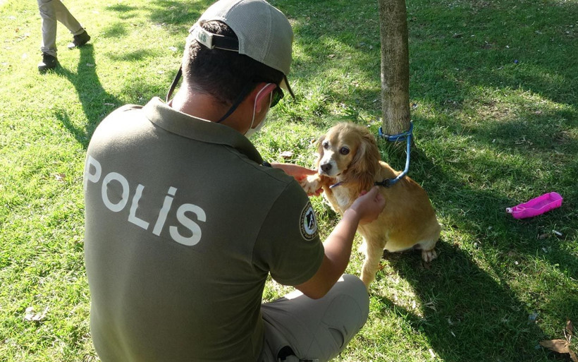 Doğa ve hayvan polisi Kocaeli'de göreve başladı İçişleri kararıyla kurulmuştu - Resim: 3