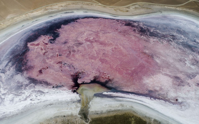 Konya'da ortaya çıktı doğanın dengesi bozuldu gölün hali ürküttü - Resim: 2