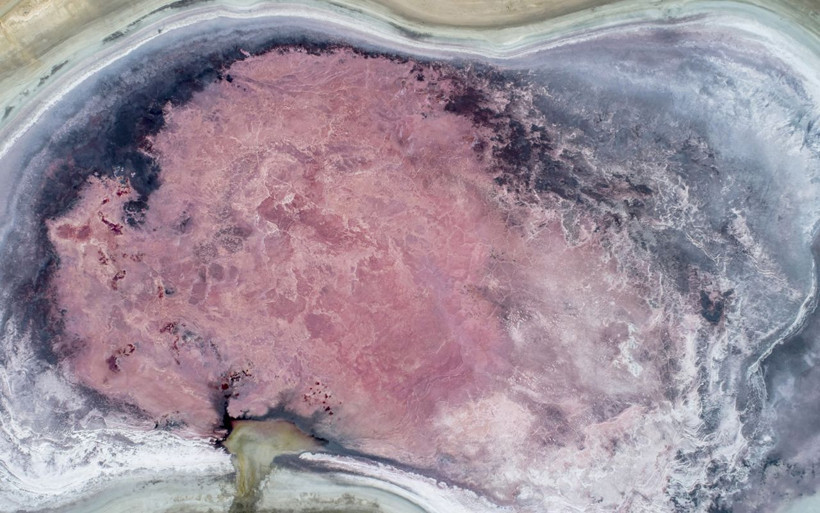 Konya'da ortaya çıktı doğanın dengesi bozuldu gölün hali ürküttü - Resim: 4