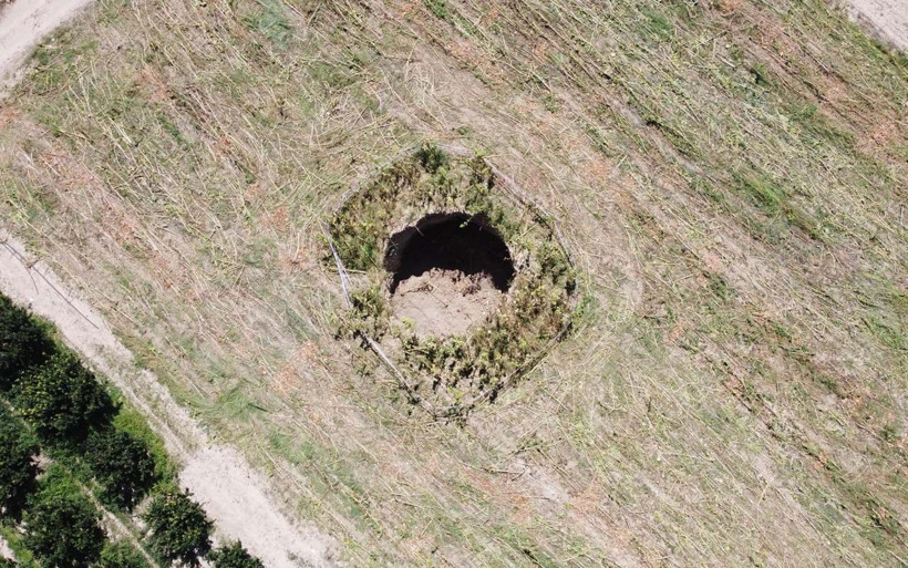Denizli'de ay çekirdeği tarlasında obruk oluştu içine düşen yaban hayvanı öldü - Resim: 4