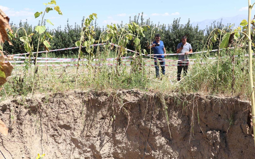 Denizli'de ay çekirdeği tarlasında obruk oluştu içine düşen yaban hayvanı öldü - Resim: 2