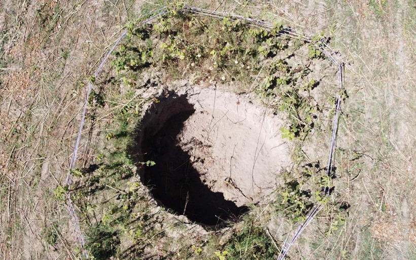 Denizli'de ay çekirdeği tarlasında obruk oluştu içine düşen yaban hayvanı öldü - Resim: 1