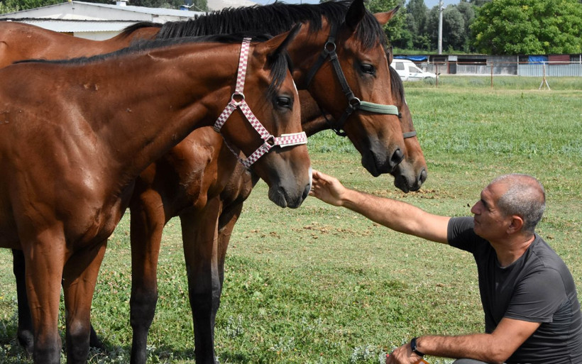 Konya'da Türkiye'nin şampiyon atları bal ve pekmezle yetiştiriliyor - Resim: 2