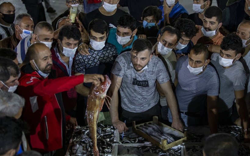 Türkiye'de balıkçılar 'Vira Bismillah' dedi eller bereketli dönüldü - Resim: 3