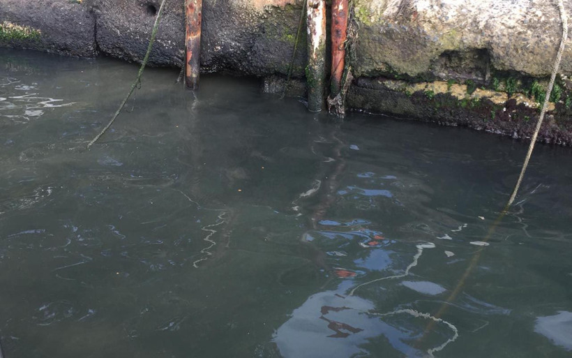 Sarıyer'de İstanbul Boğazı'na kanalizasyon atığı bırakılıyor iddiası: İBB'ye defalarca yazdık... - Resim: 1