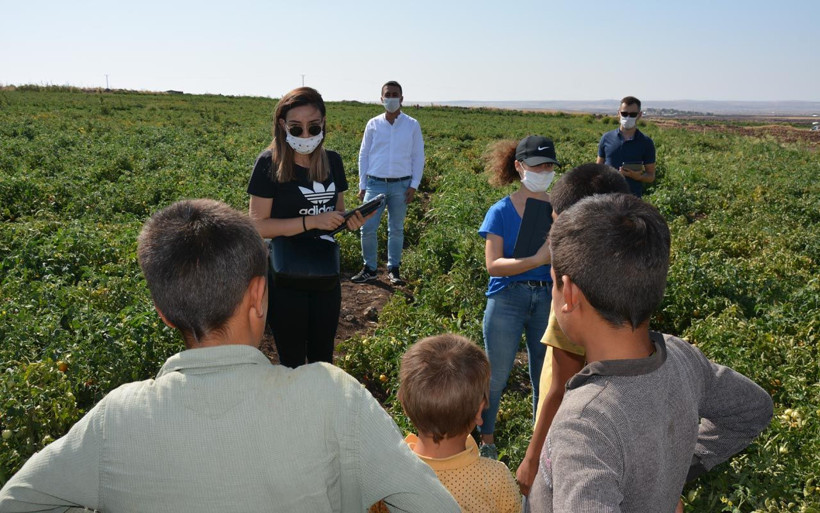 Şanlıurfa'da tarlada online ders EBA Mobil Destek Aracı öğrencilerle buluştu - Resim: 2