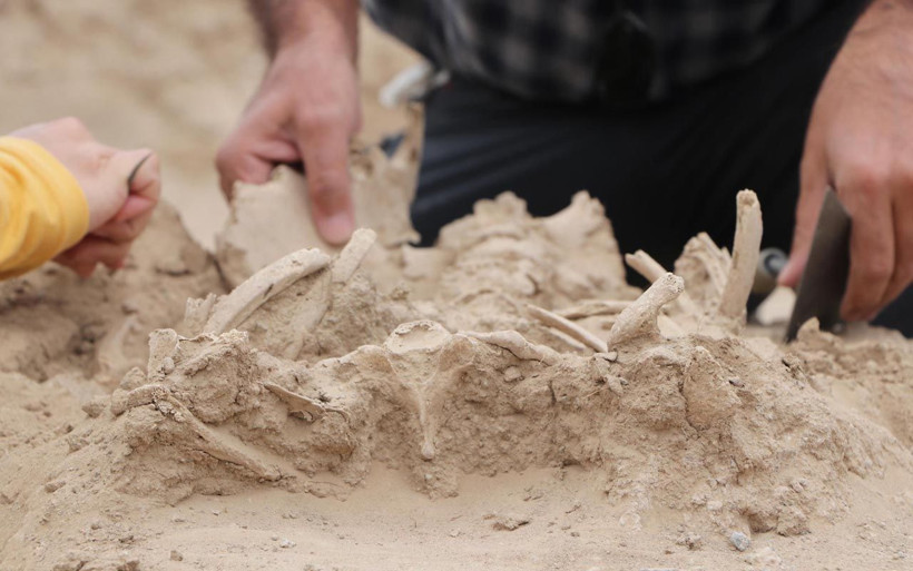 Van'da bebek iskeleti ortaya çıkarıldı Urartularda soylu bir aileye ait deniyor - Resim: 1
