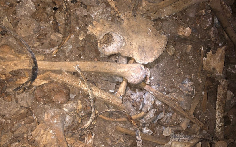 Kastamonu'da insan kalıntıları bulunan mağara dünyada dördüncü - Resim: 1