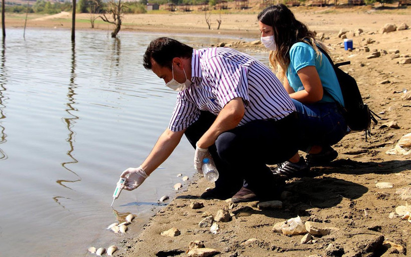 Kula Göleti'nde binlerce balık telef oldu Manisa'da içleri acıtan görüntüler - Resim: 1