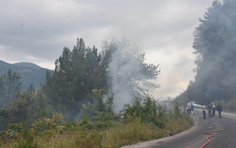 Sinop'ta yaşlı adam otları temizlemek isterken 20 hektarlık ormanı yaktı - Resim: 3