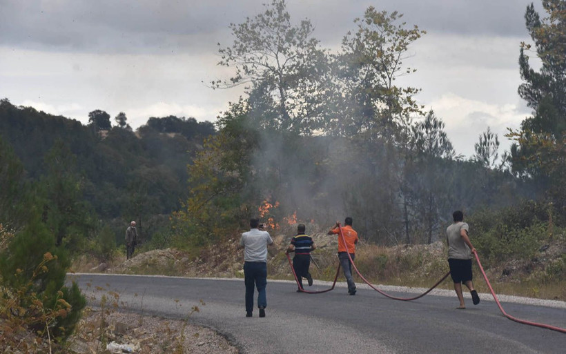 Sinop'ta yaşlı adam otları temizlemek isterken 20 hektarlık ormanı yaktı - Resim: 2