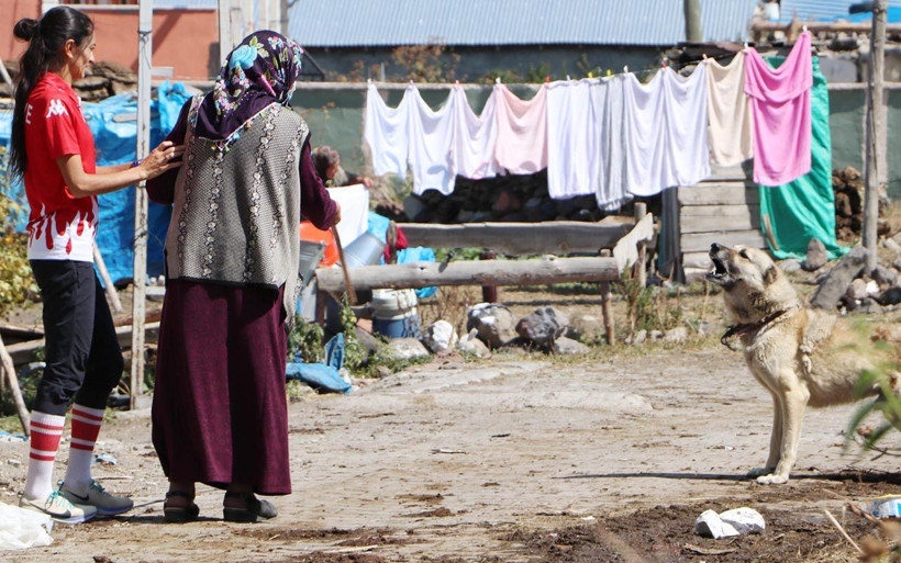 Ardahanlı sporcunun yeni başarı hikayesi hazır: Koşarken köpeklerden annesi koruyor - Resim: 1