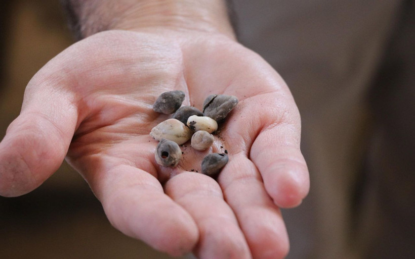 Denizli'de 4 bin yıllık tekstil atölyesi ortaya çıktı zengin bir tüccara ait olduğu söyleniyor - Resim: 4