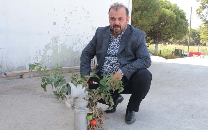 Betonda domates yetişti Balıkesir'de işçileri şaşkına çeviren olay - Resim: 2