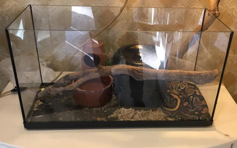 Antalya'da kendini, eşini ve iki çocuğunu siyanürle öldürdü! Tefecilerde borç senedi bulundu - Resim: 3