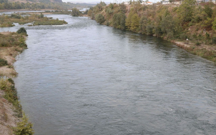 Yeşilırmak ve Kızılırmak’ta tehdit İsrail sazanı balıkçılara kan ağlatıyor - Resim: 1