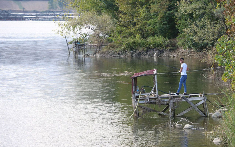 Yeşilırmak ve Kızılırmak’ta tehdit İsrail sazanı balıkçılara kan ağlatıyor - Resim: 2