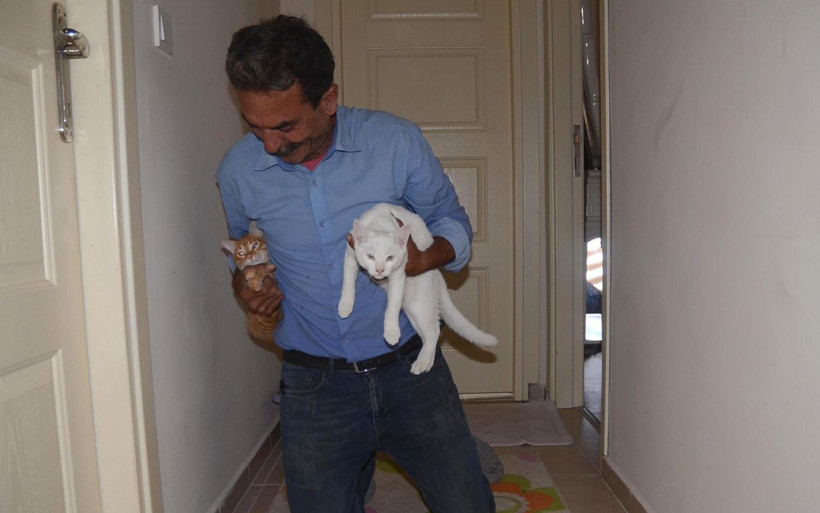 Aydın'da yaşadığı travmayı unutamıyor beslediği pitbull'un saldırdığı adam: Silahtan farkı yok - Resim: 3