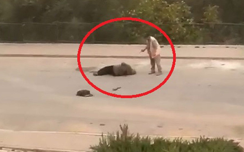 Survivor Seda Bursa'da bir kadının eşi tarafından vurulmasına tanık oldu - Resim: 1