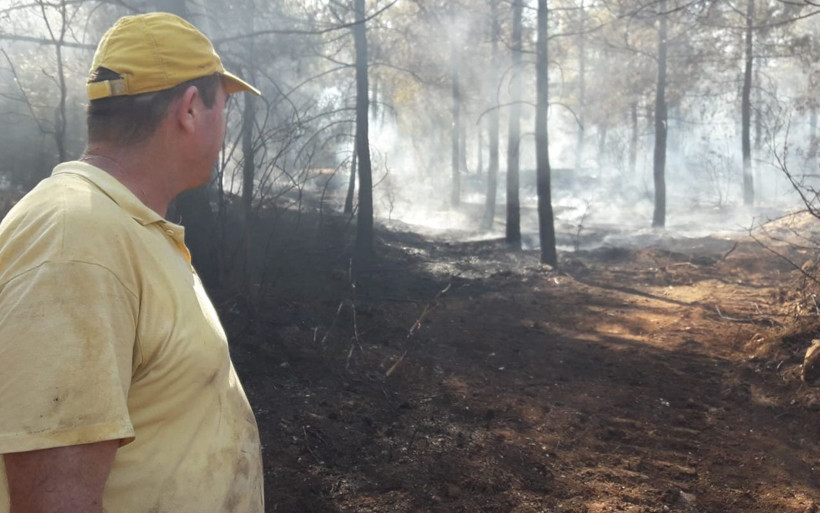 Denizli'de kundaklanan ormanda kaplumbağanın yardım çığlığı yürek dağladı - Resim: 1