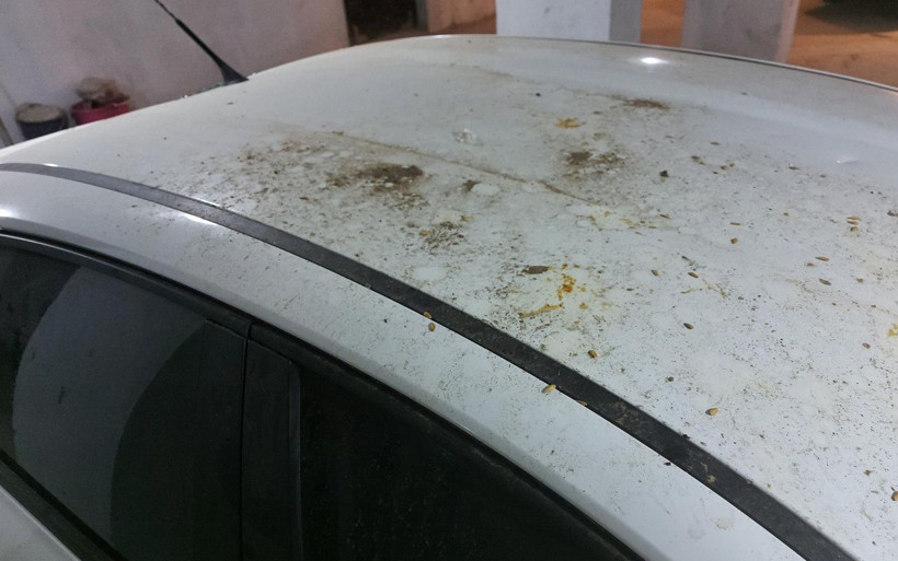 İzmir'de evinin önüne park eden araca saksı atıp sopayla vurdu: Varlığından haberdardık ama... - Resim: 4