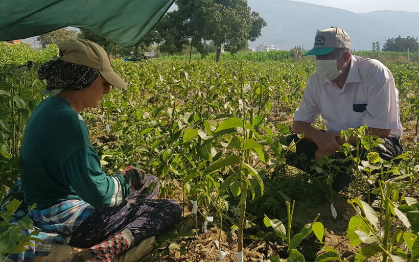 İzmir'de gittiği kurs 68 yaşında hayatını değiştiren adam talebe yetişemiyor - Resim: 3