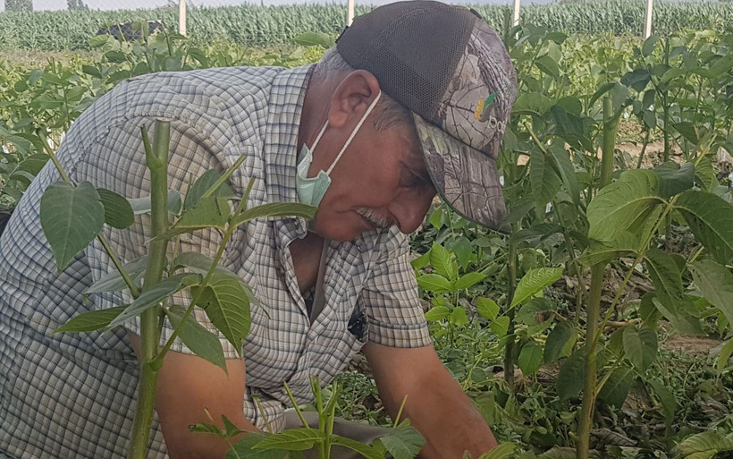 İzmir'de gittiği kurs 68 yaşında hayatını değiştiren adam talebe yetişemiyor - Resim: 1