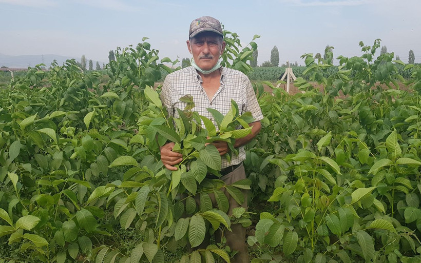 İzmir'de gittiği kurs 68 yaşında hayatını değiştiren adam talebe yetişemiyor - Resim: 2