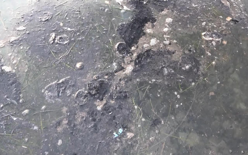 Gürpınar’dan Büyükçekmece koyuna kadar kirlettiler gemideki pis su denize bırakılınca... - Resim: 4