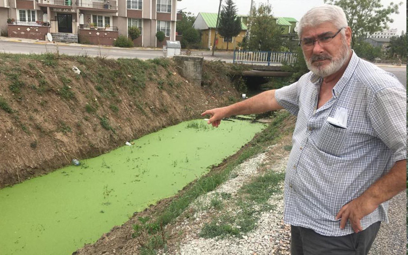 Kocaeli'de rengi yeşile dönen dere tedirgin etti 'ilk defa böyle bir şey görüyorum' - Resim: 3