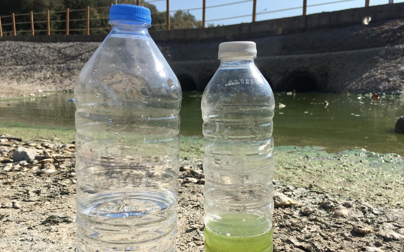 İzmir'in 'simge projesi' balıklara mezar oluyor: Kokmayan yer arıyoruz bulamıyoruz... - Resim: 1