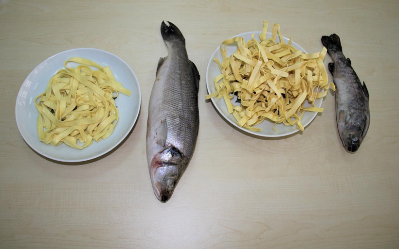 Kokusu gitti tadı kaldı Elazığ'da balık ve kılçığından makarna madalya getirdi - Resim: 3